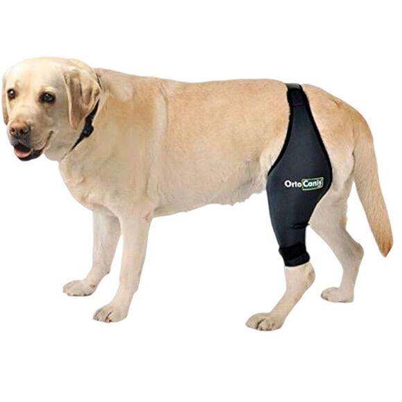 NWT Ortocanis Dog Knee Brace Patella Dislocation Osteoarthritis XXL Left Leg - Picture 1 of 8